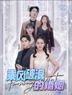 乘风破浪的婚姻封面