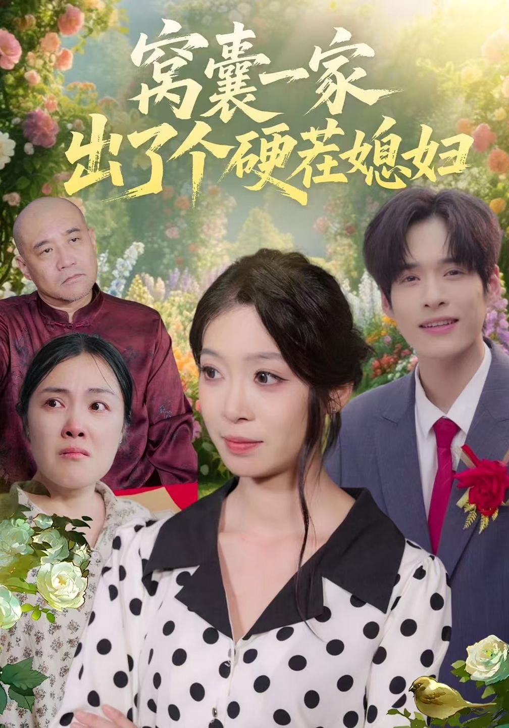 窝囊一家出了个硬茬媳妇封面