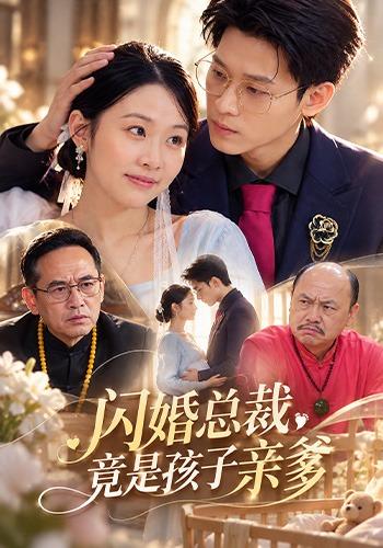 闪婚总裁，竟是孩子亲爹封面