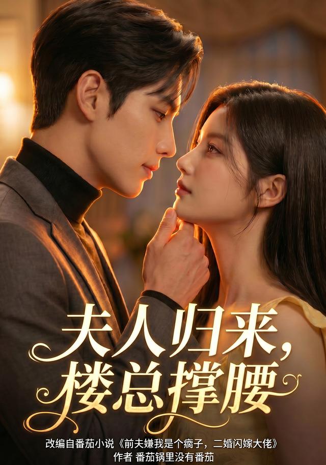 夫人归来，楼总撑腰封面