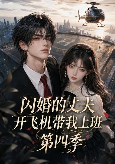 闪婚的丈夫开飞机带我上班第四季封面