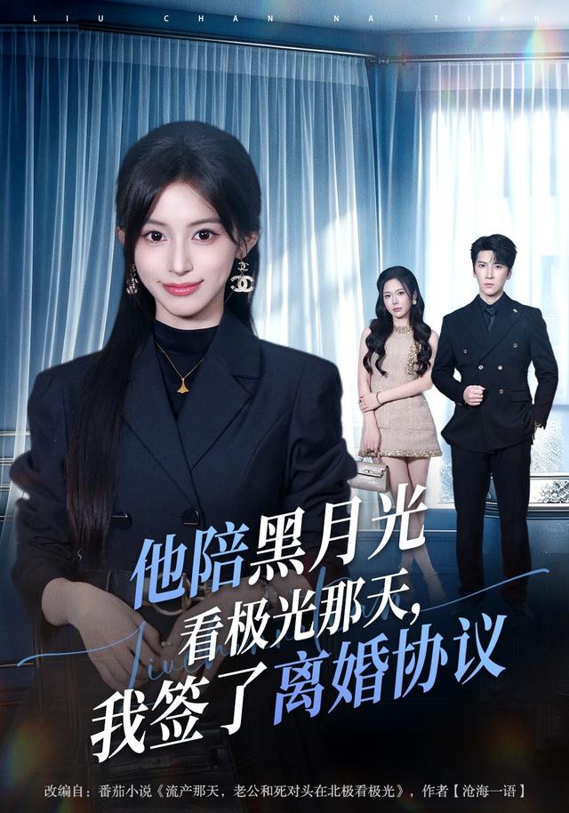 他陪黑月光看极光那天，我签了离婚协议封面