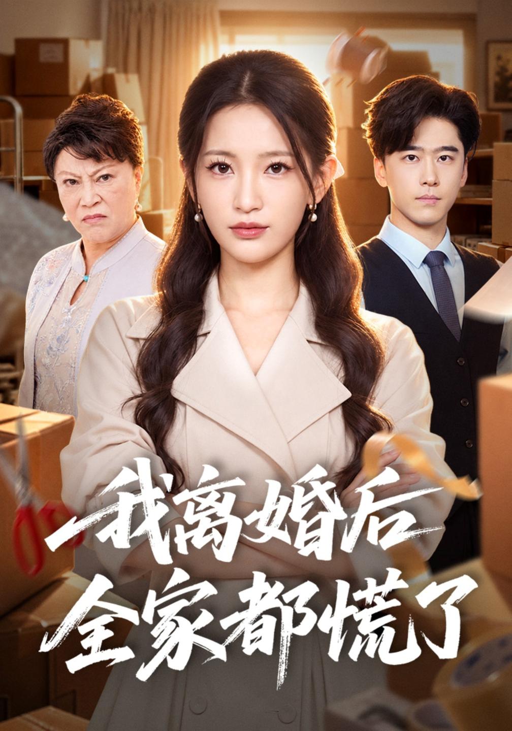 我离婚后全家都慌了封面