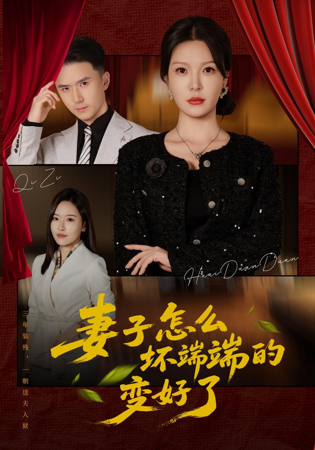 妻子怎么坏端端的变好了封面