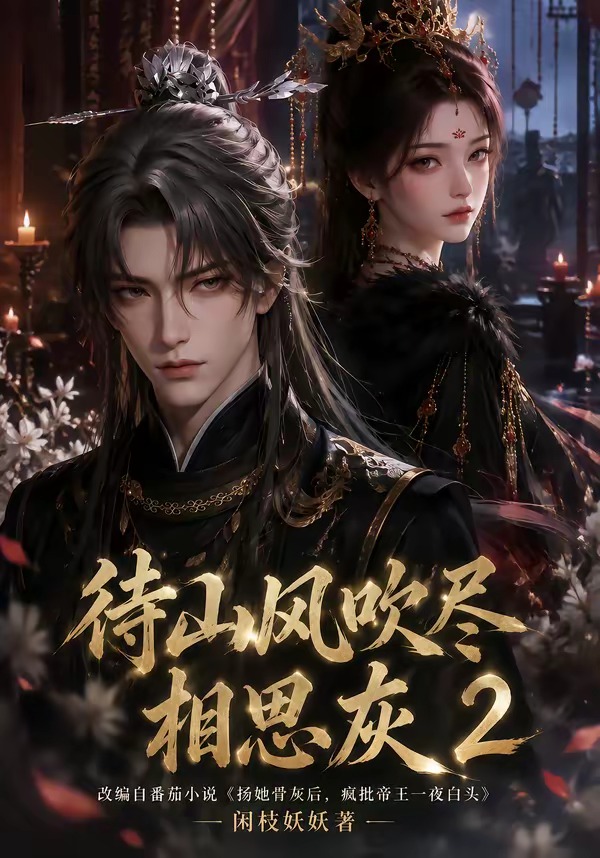待山风吹尽相思灰2封面