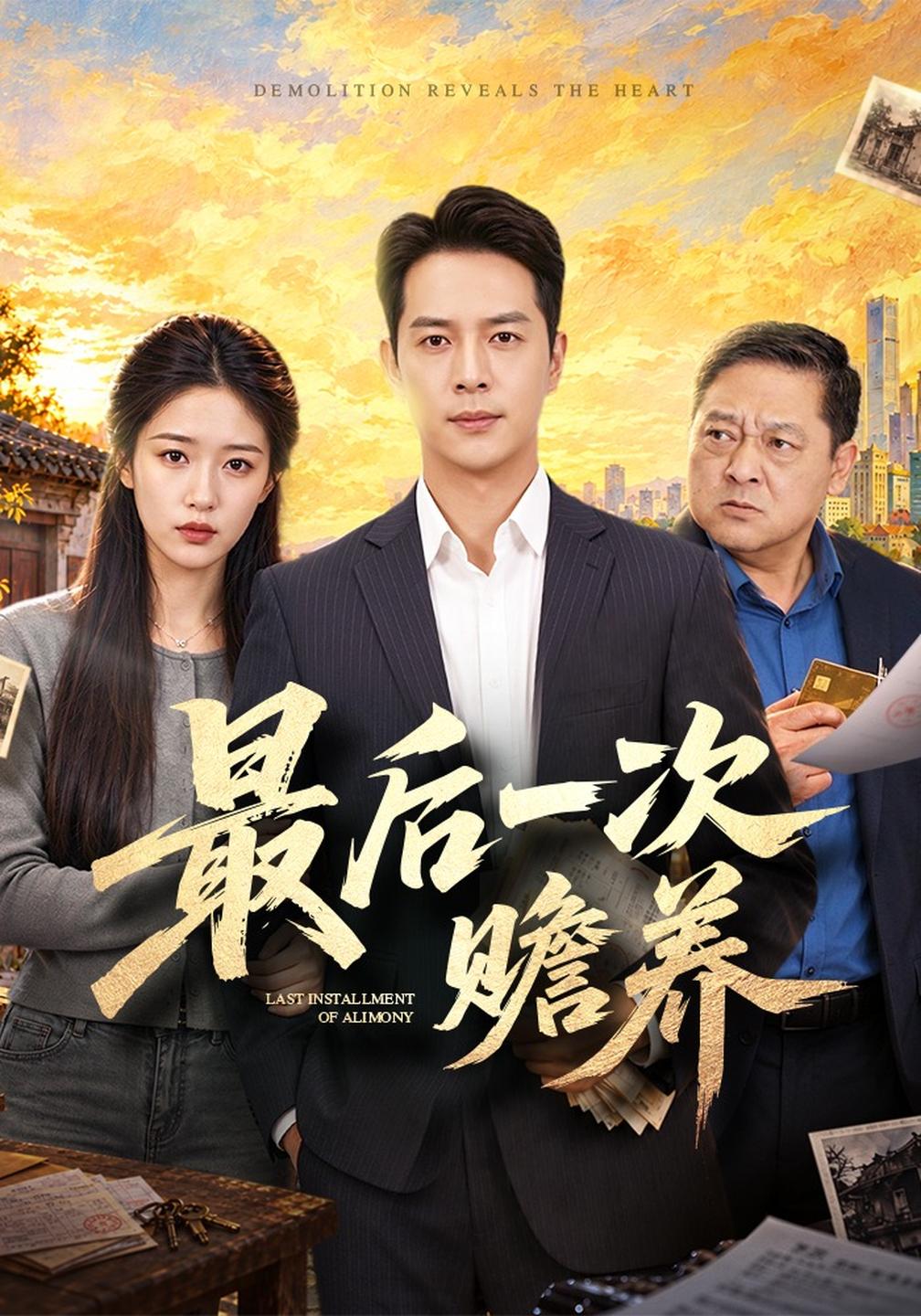 最后一次赡养封面