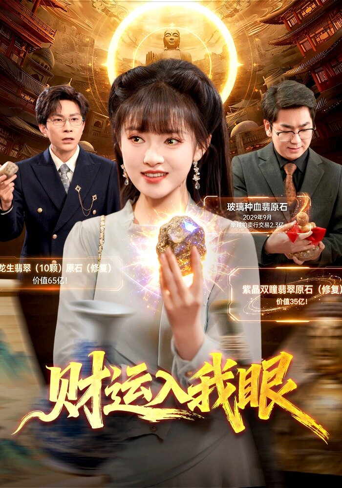 财运入我眼封面