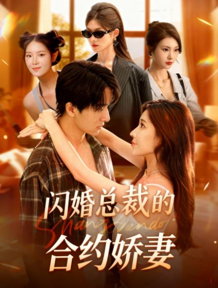 闪婚总裁契约妻封面